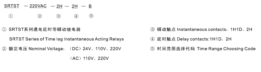 SRTST-220VAC-1H1D-1H1D-D型號(hào)及其含義